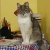 Отзыв от Татьяна Лопатина